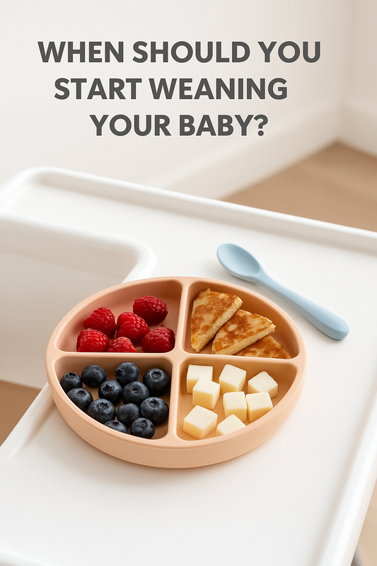 Silicone suction baby plate with spoon on high chair – ideal weaning product for introducing solids to babies in the UK.